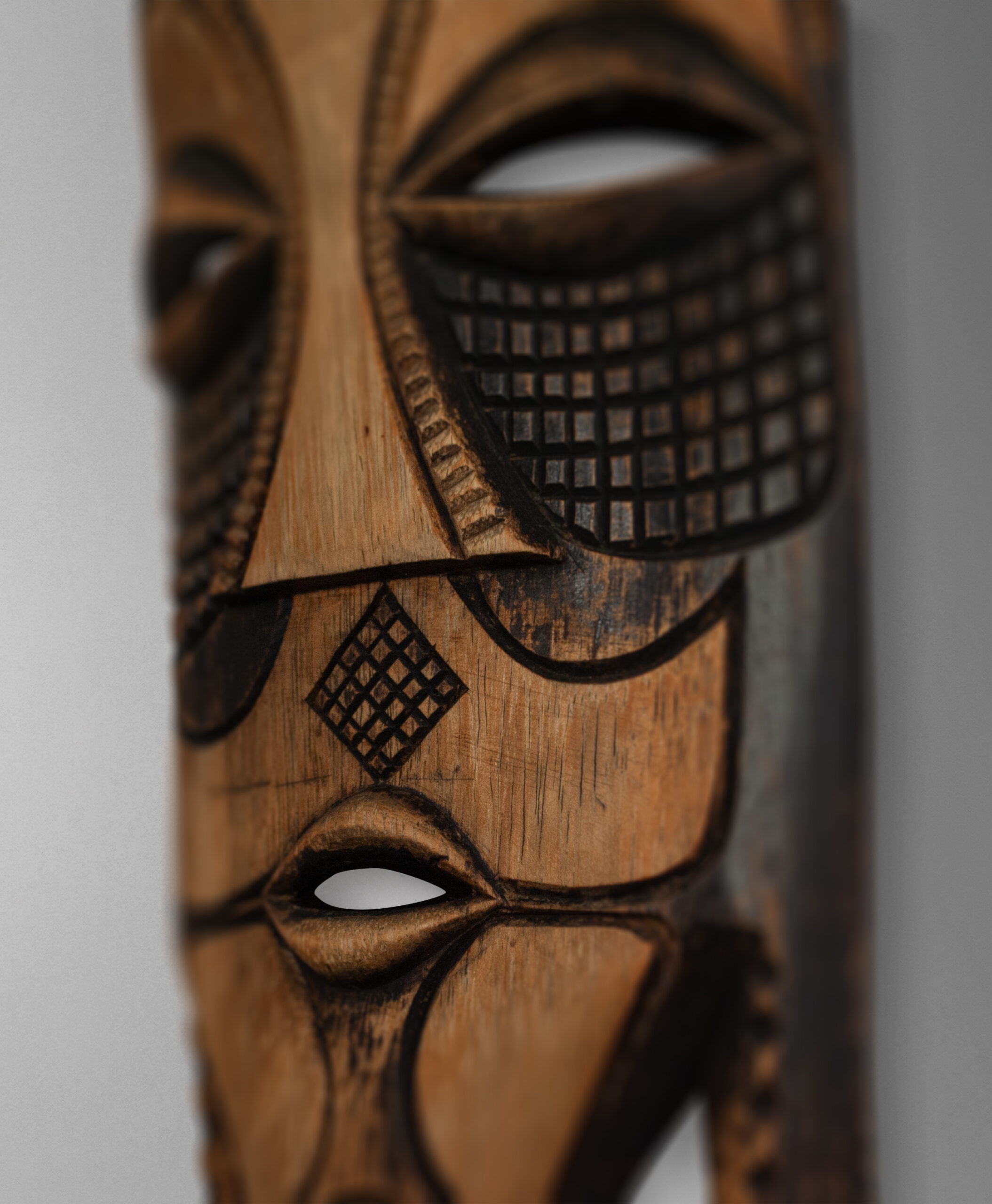 detail view from mozambique