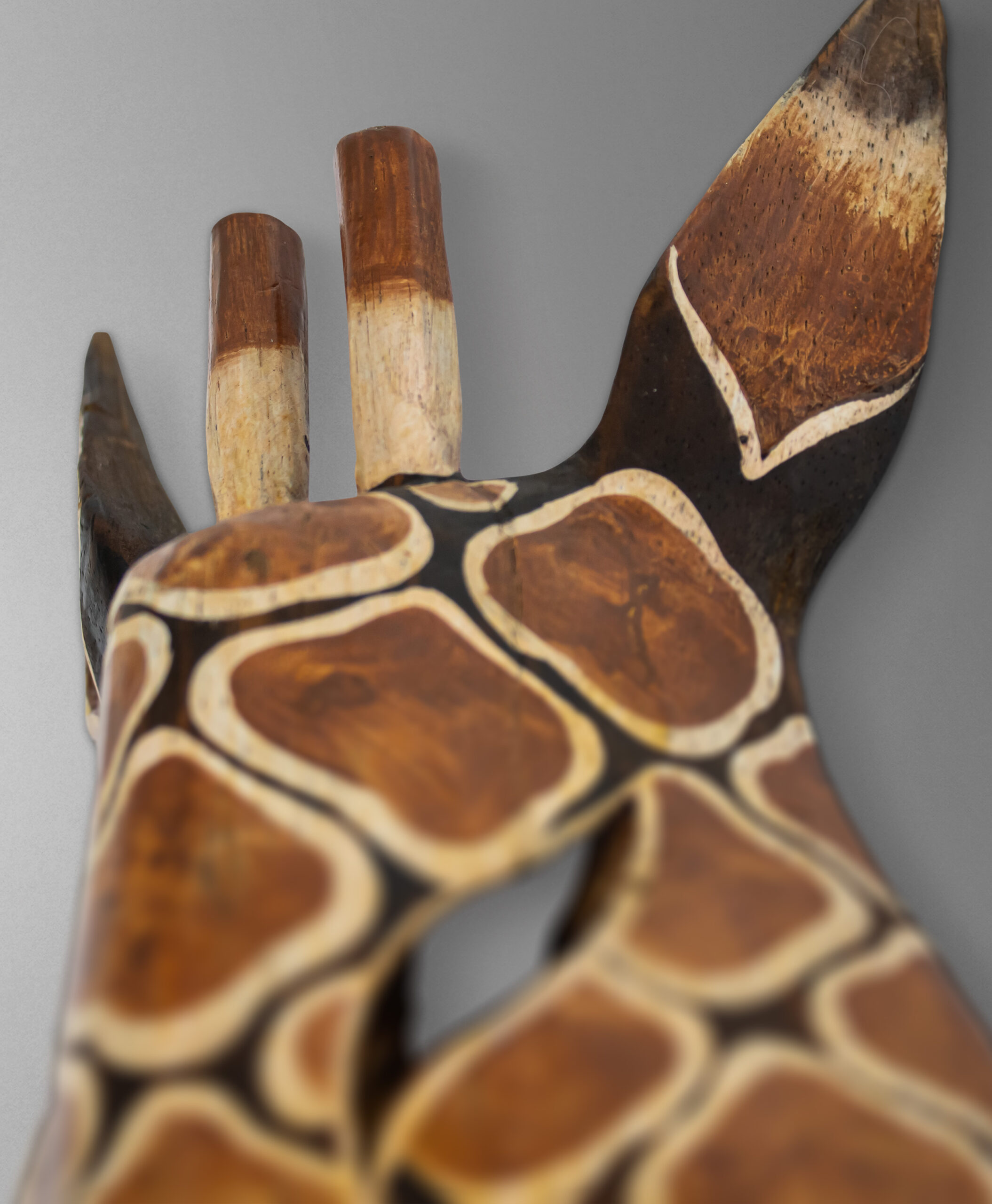 detail view from zimbabwe