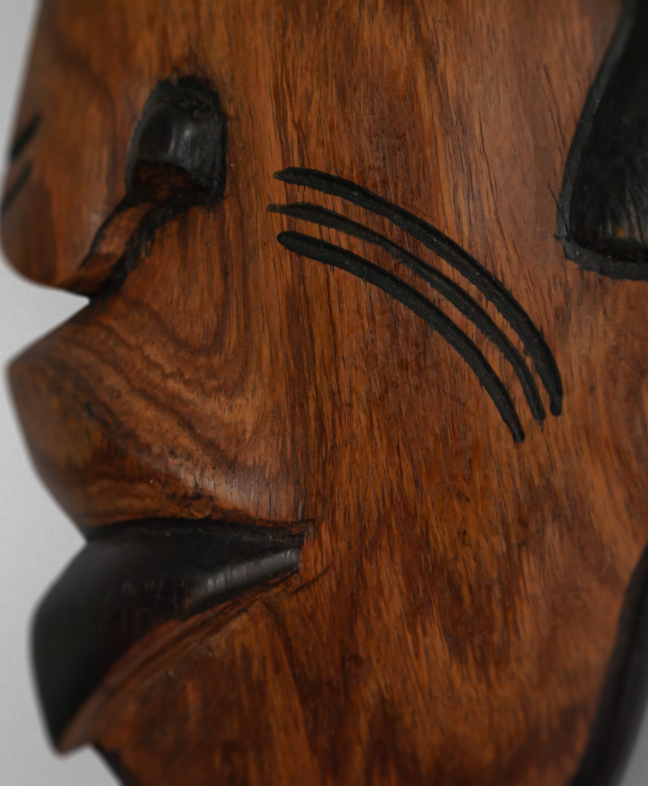 detail view from senegal