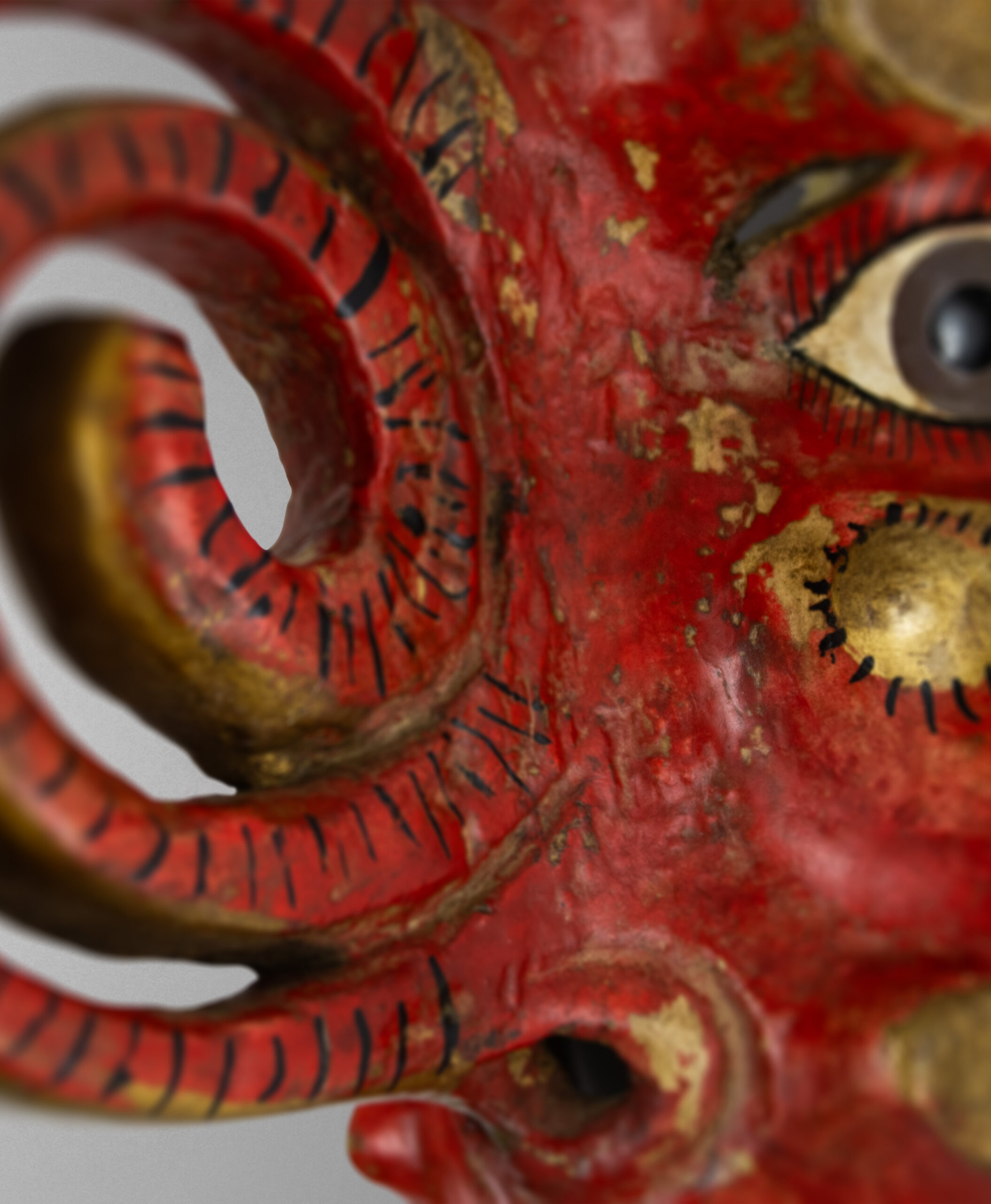detail view from nepal