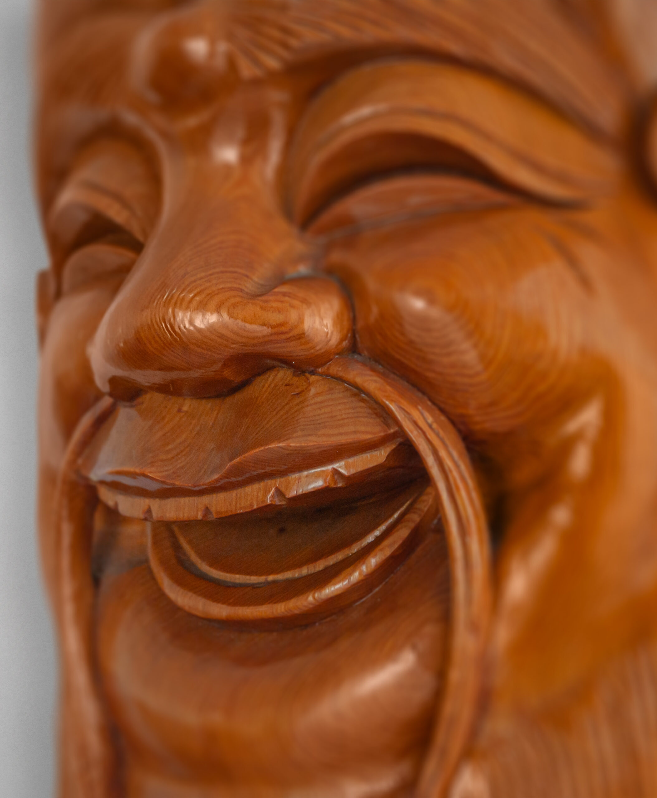 detail view from vietnam