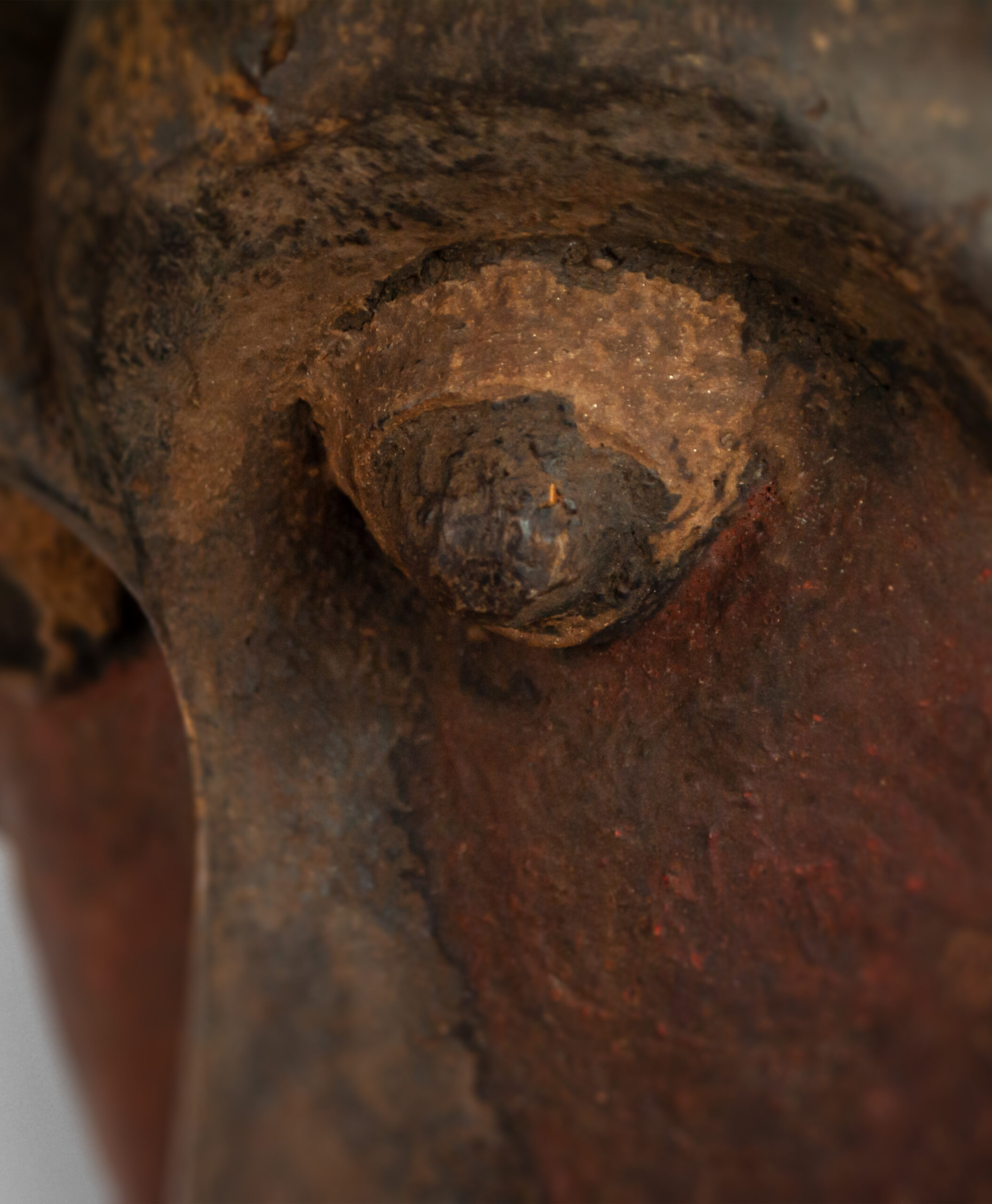 detail view from zambia