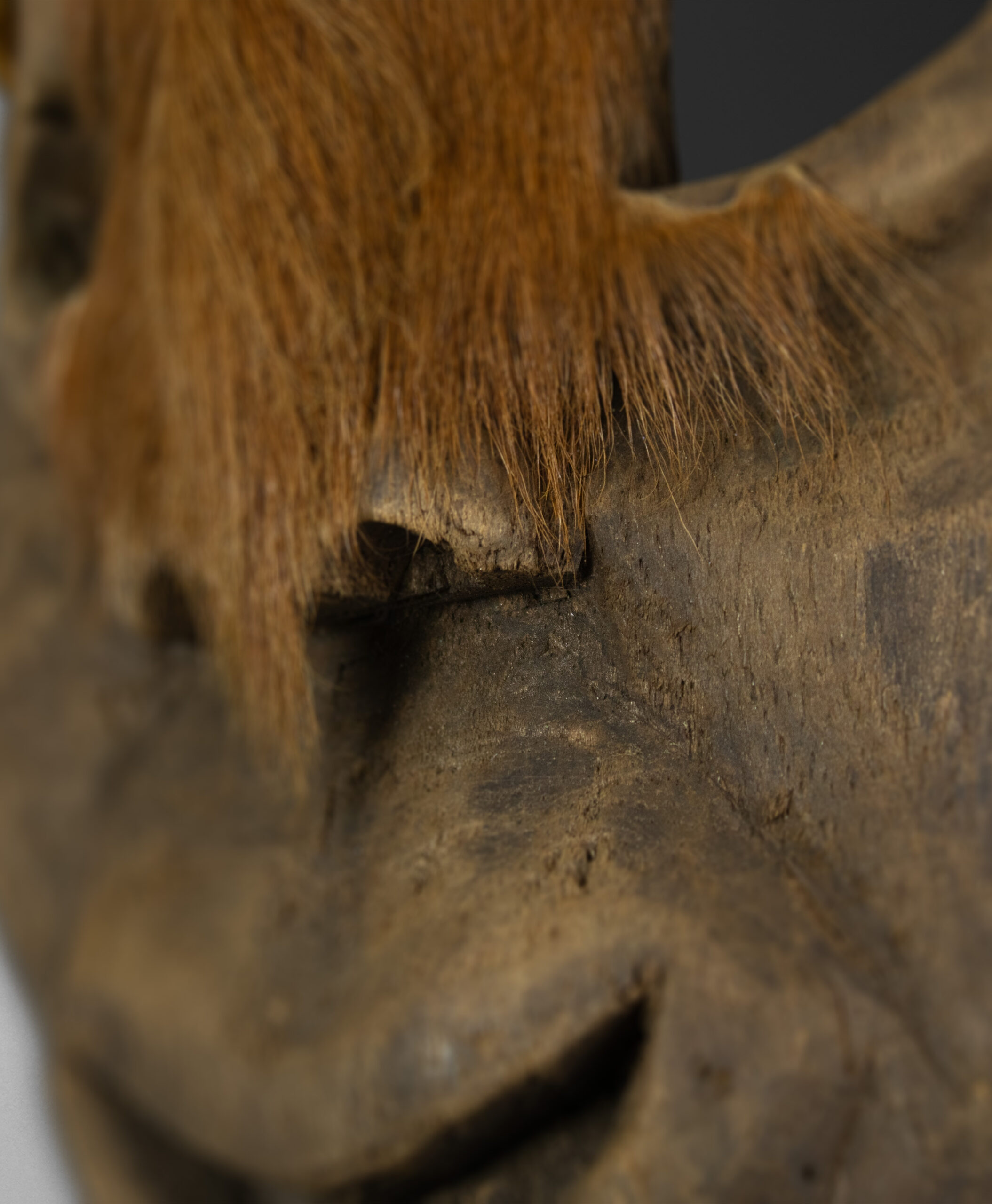 detail view of devil mask from mexico
