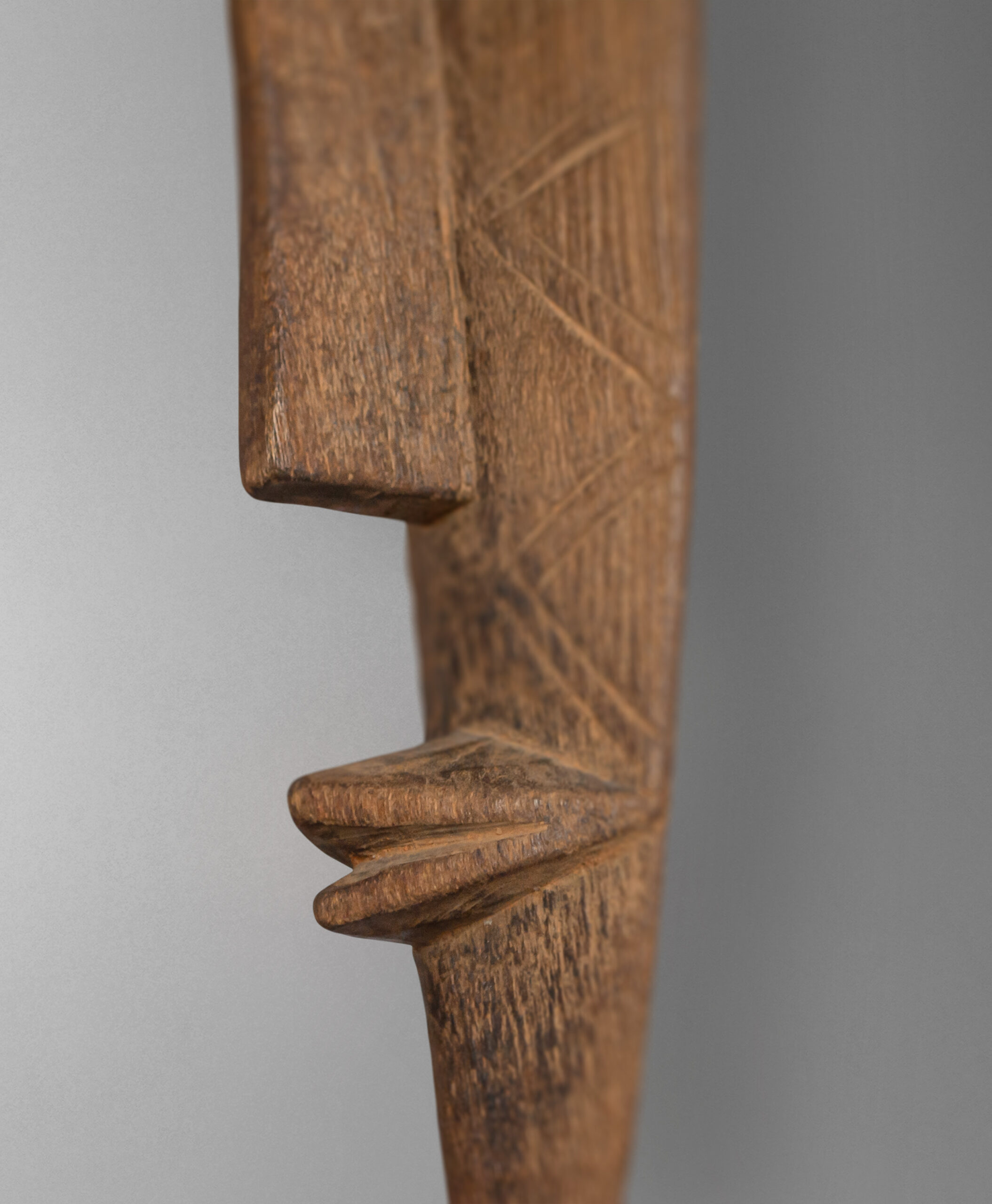 detail view from namibia