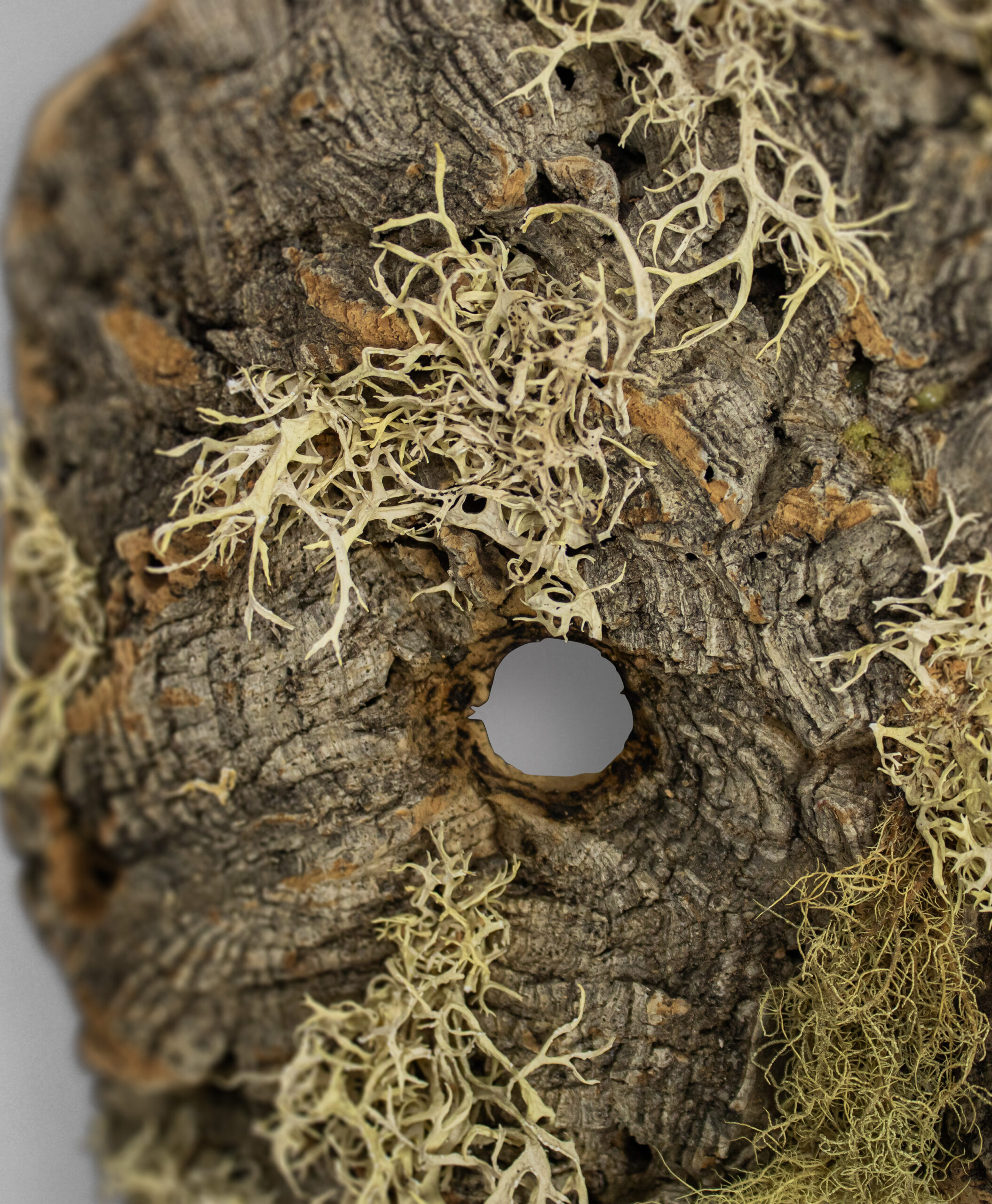 detail view of miranda do douro mask from portugal