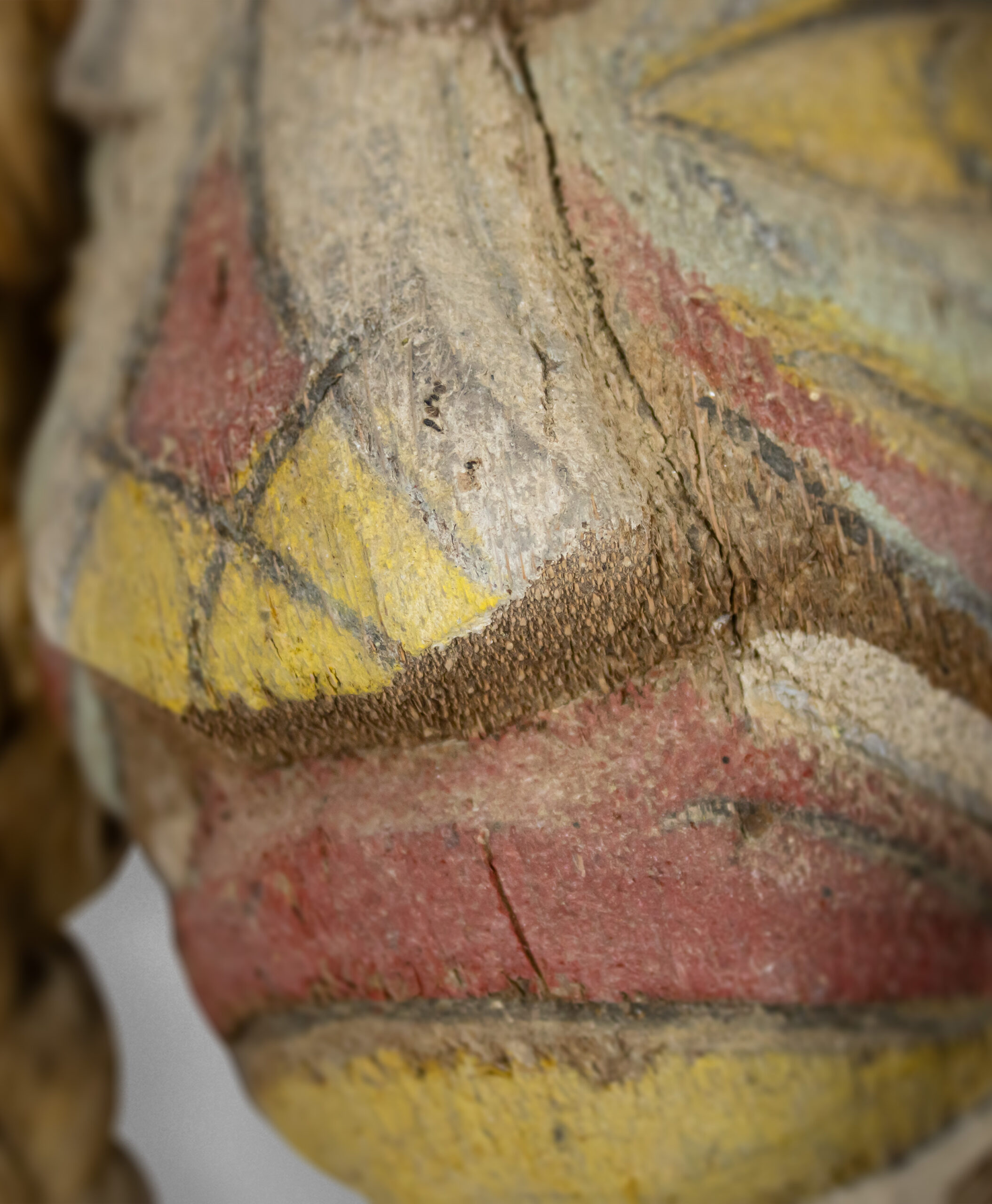 detail view from costa rica