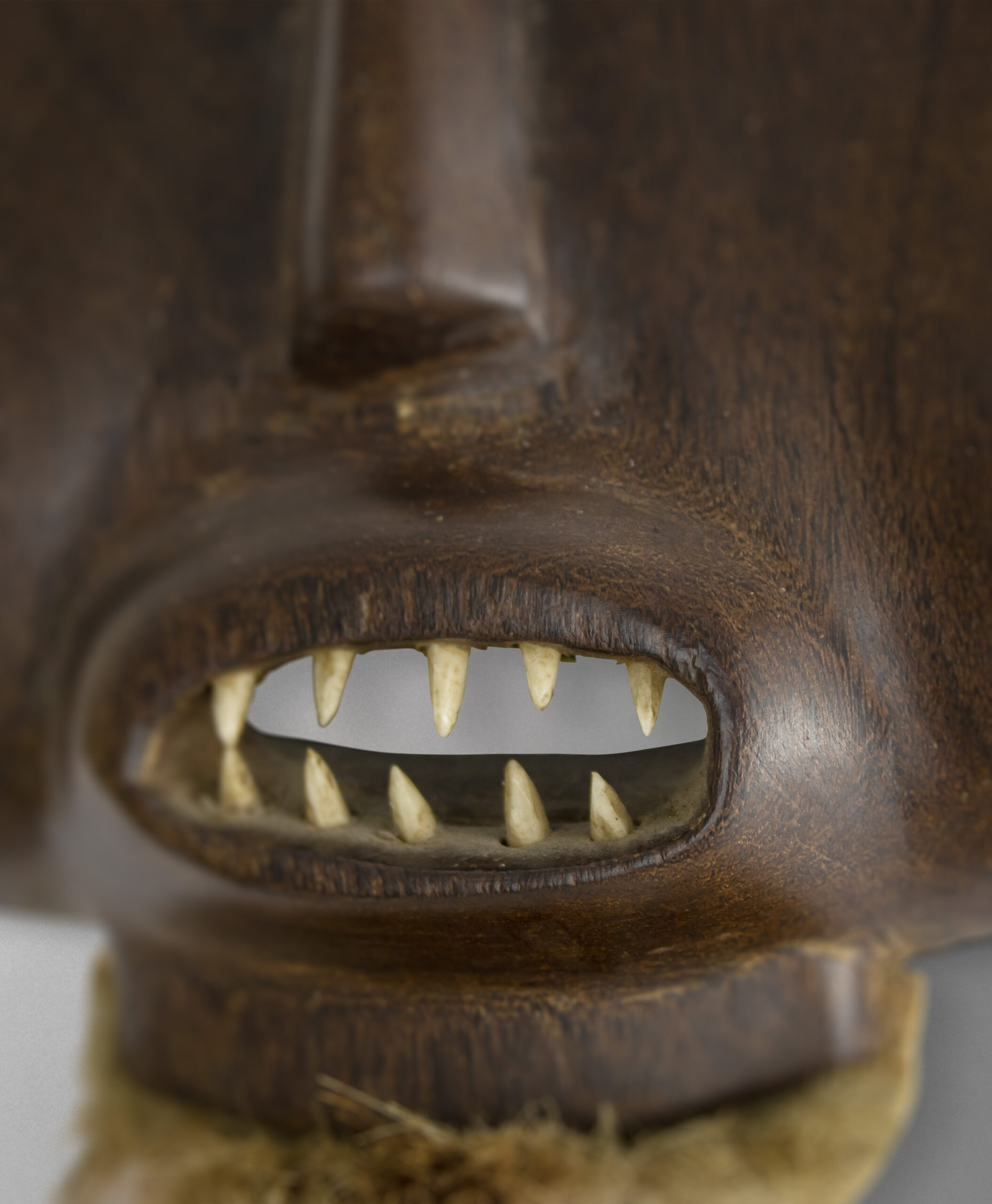 detail view from cameroon