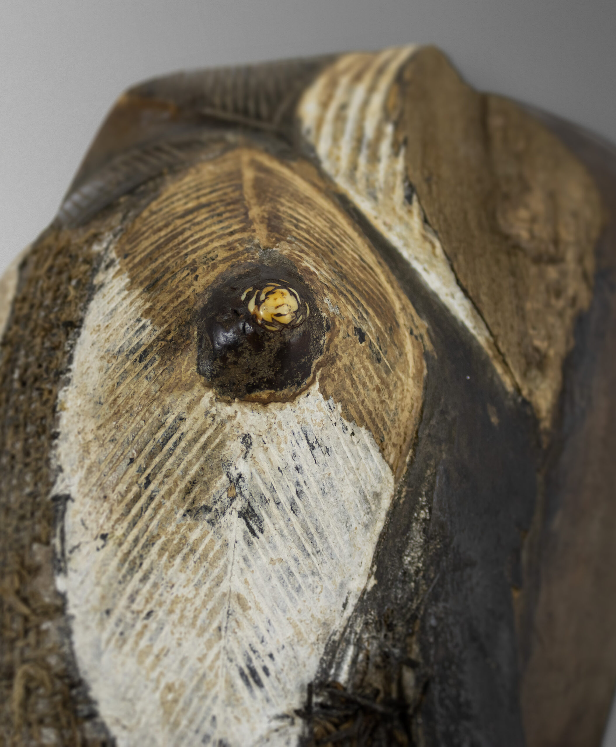 S1264 Baule mask - Ivory Coast - Image 3